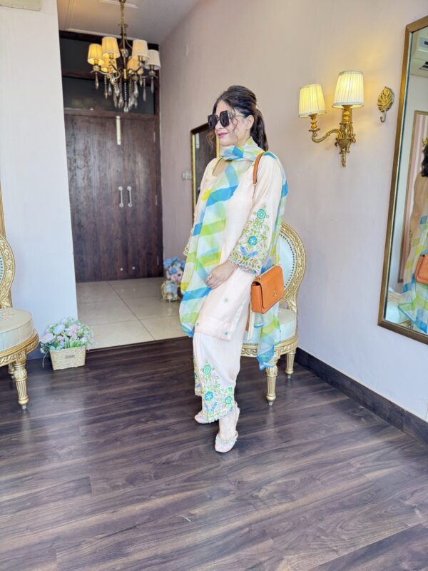peach mal chanderi