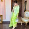 parrot ombré aari work suit