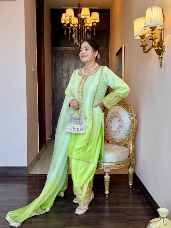 parrot ombré aari work suit